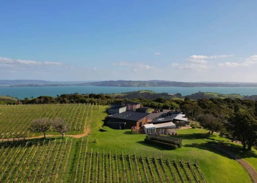 Auckland: Waiheke Island Wine and Food Tasting with Flights - A Closer Look at the Details