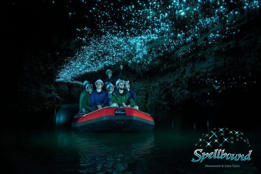 Auckland: Waitomo Glowworm Caves Explorer Small Group Tour - The Itinerary Breakdown