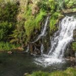 Auckland Waterfall Tour - The Experience Beyond Sightseeing