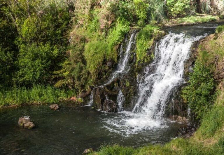 Auckland Waterfall Tour - The Experience Beyond Sightseeing