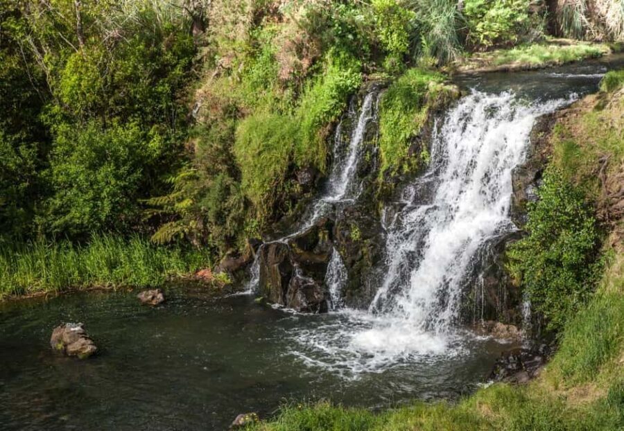 Auckland Waterfall Tour - The Experience Beyond Sightseeing