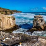 Auckland: Wild West Coast, Black Sand Beaches Tour inc Lunch - Exploring the Itinerary: A Closer Look at What You’ll Experience