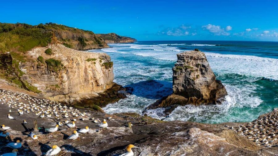 Auckland: Wild West Coast, Black Sand Beaches Tour inc Lunch - Exploring the Itinerary: A Closer Look at What You’ll Experience