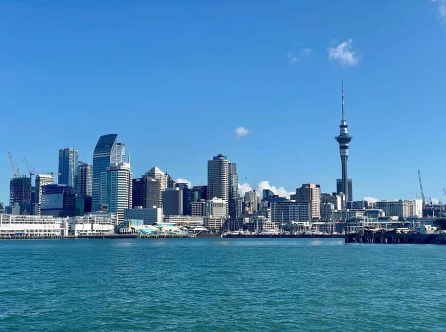 Auckland: Wine and Cheese Cruise with Live Commentary - Value and Practical Details