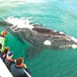 Augusta Whale Watching Eco Tour - The Value of the Augusta Whale Watching Eco Tour