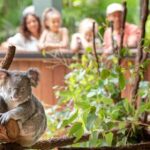 Australia Zoo Private Group Tour from Brisbane - Final Thoughts