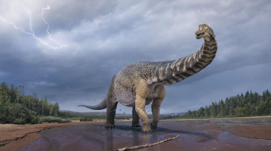 Australian Dinosaur Giants Tour - Final Thoughts