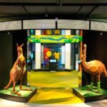 Australian Sports Museum Ticket - What to Expect from the Australian Sports Museum Ticket