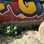 Authentic Township Tour Cape Town - Why This Tour Works Well