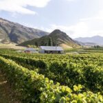 Award Winning Premium Wine Tour Queenstown Tasting at 4 Wineries - What Could Be Better?