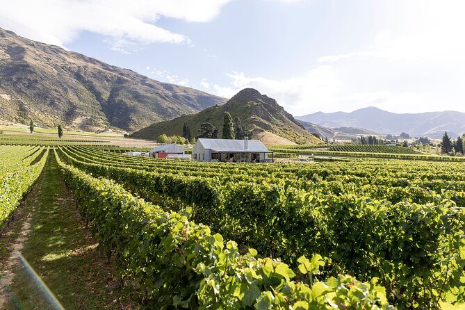 Award Winning Premium Wine Tour Queenstown Tasting at 4 Wineries - What Could Be Better?