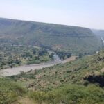 "Awash National Park Safari Experience" - An In-Depth Look at the Awash National Park Safari
