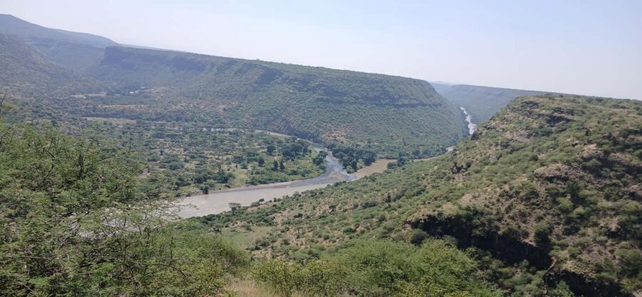 "Awash National Park Safari Experience" - An In-Depth Look at the Awash National Park Safari