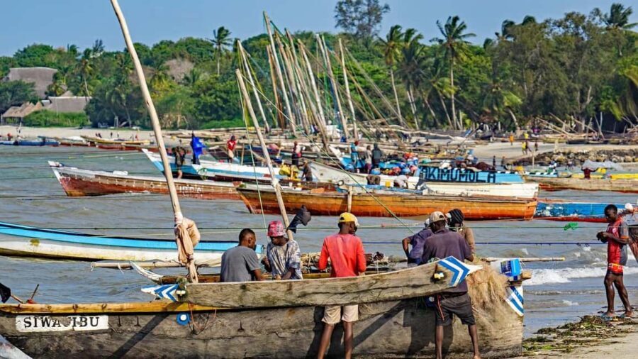 Bagamoyo day trip tour from Dar-es-Salaam by luxury car - What’s Included and Practical Details