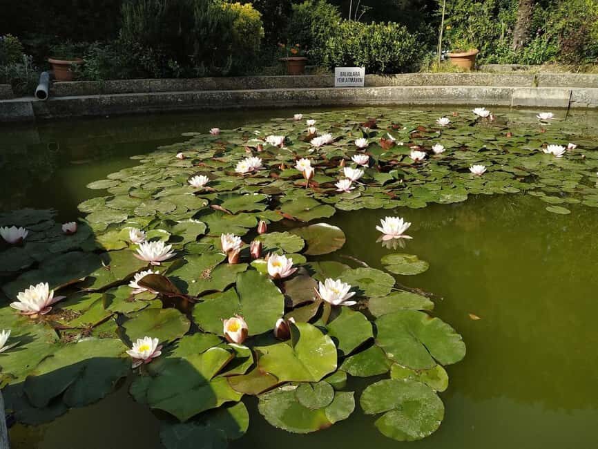 Baku: Fauna and Flora Tour - Relaxing Stroll in Victoria Park