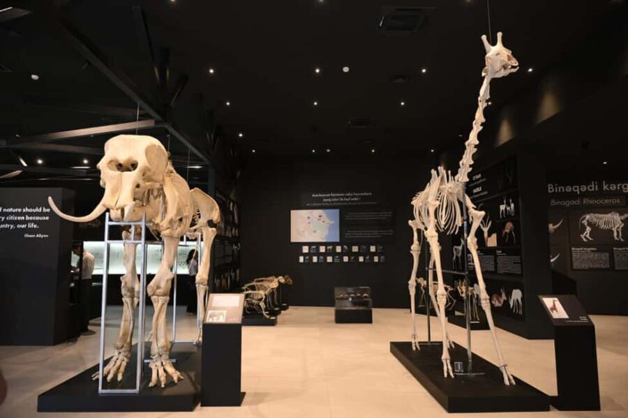 Baku Qobustan Absheron Full Day Guided Tour - Museums and Additional Insights