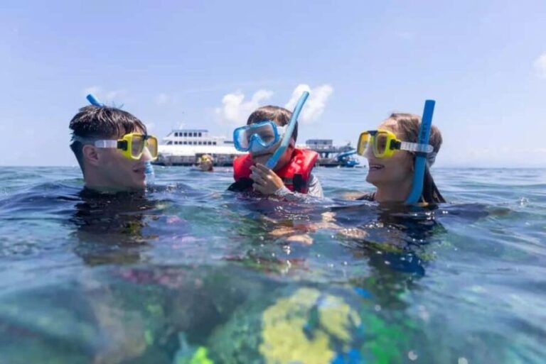 Baku: Snorkeling Tour at Gurgan Lighthouse - The Real Experience: What Tourists Say