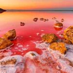 Baku: Sumgait City, Pink Lake & Vibrant Green Bazar Visit - A Detailed Look at the Itinerary