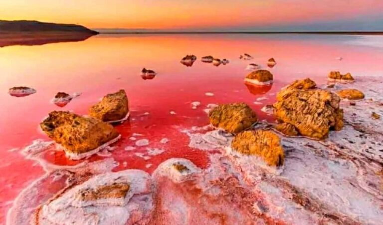 Baku: Sumgait City, Pink Lake & Vibrant Green Bazar Visit - A Detailed Look at the Itinerary