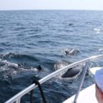 Bandar Al Khayran Jorney: Group Tour with Snorkeling - The Practical Side of the Tour