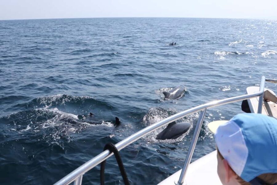 Bandar Al Khayran Jorney: Group Tour with Snorkeling - The Practical Side of the Tour