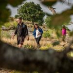 Baraka Destinations: Guided Light Hike in Umm Qais - The Itinerary: What to Expect on the Trail