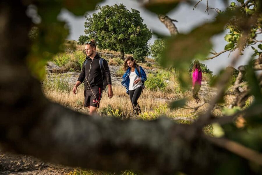 Baraka Destinations: Guided Light Hike in Umm Qais - The Itinerary: What to Expect on the Trail