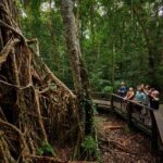 Barefoot Atherton Tablelands Adventure by Cairns Waterfalls - Why This Tour Offers Real Value