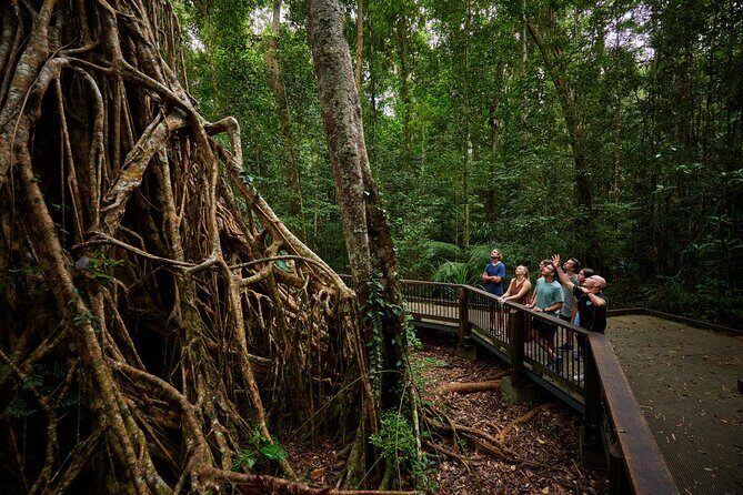Barefoot Atherton Tablelands Adventure by Cairns Waterfalls - Why This Tour Offers Real Value