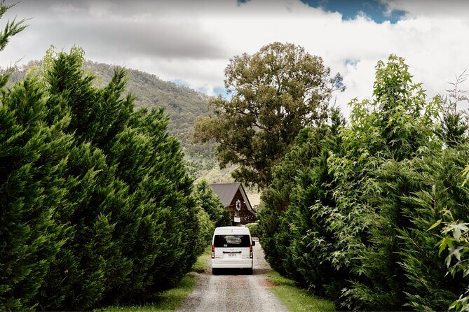 Barefoot Luxury Mount Tamborine Winery Tour from Brisbane - Why You’ll Love This Tour