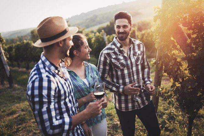 Barefoot Luxury Mount Tamborine Winery Tour from Gold Coast - Authentic Insights from Guest Reviews
