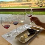 Barossa Food & Wine Trail in a Classic 1966 Mustang - What’s Included and Why It Matters