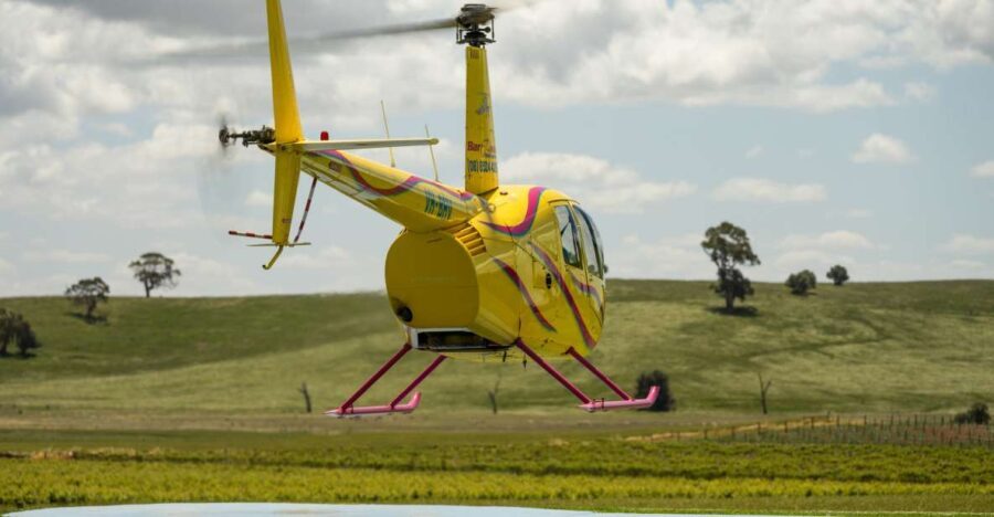 Barossa Valley: 30 Minute Scenic Helicopter Flight - Evaluating the Value
