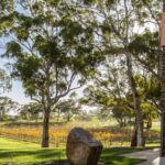 Barossa Valley: EcoVine Explorer - e-cart vineyard tour - Evaluating the Value