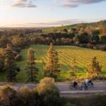 Barossa Valley: Gourmet Food and Wine E-Bike Tour - Practical Details and What to Expect