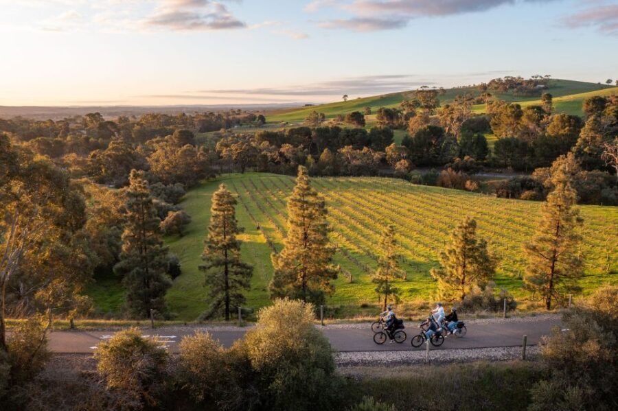 Barossa Valley: Gourmet Food and Wine E-Bike Tour - Practical Details and What to Expect