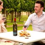 Barossa Valley: Jacob's Creek Perfect Picnic - Why this experience might be right for you