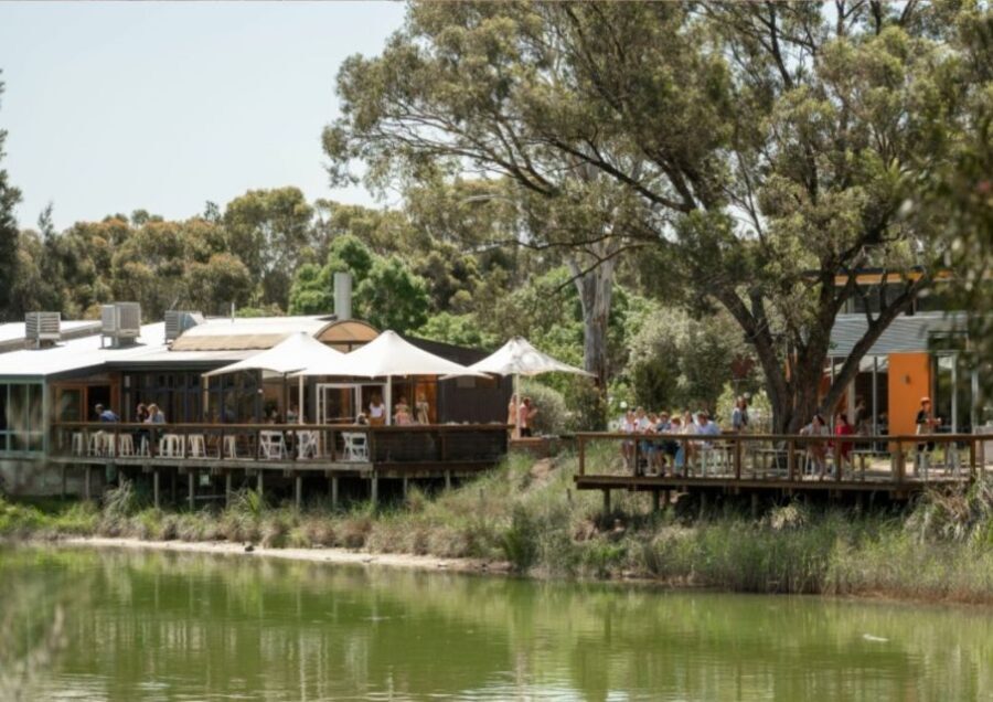Barossa Valley: Maggie Beer's Wine Tasting & Cheese Platter - Analyzing the Value