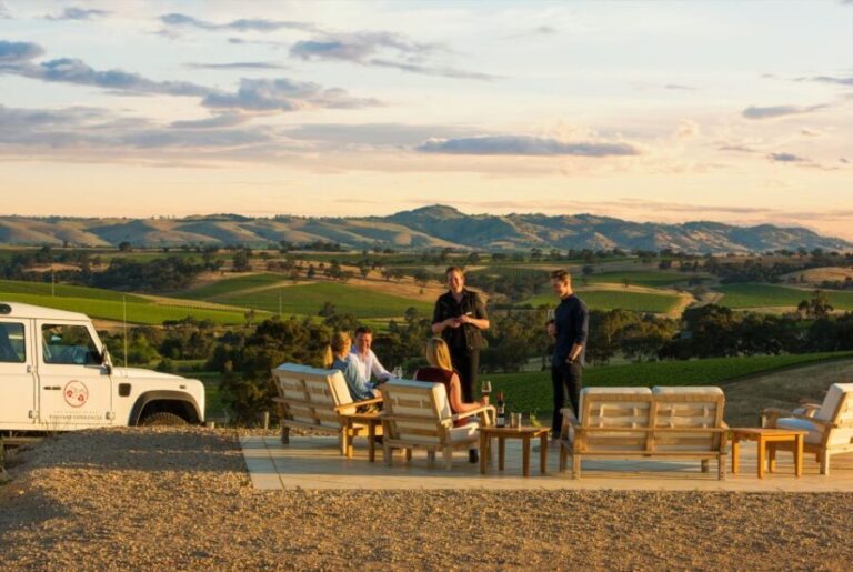 Barossa Valley: Two Hands 1.5-Hour Vineyard Tour - Authentic Insights from Reviewers