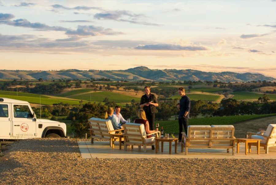 Barossa Valley: Two Hands 1.5-Hour Vineyard Tour - Authentic Insights from Reviewers