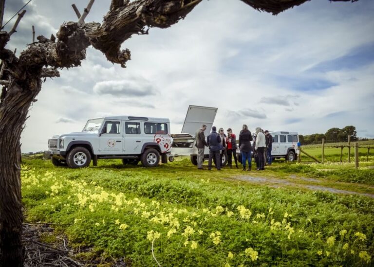 Barossa Valley: Two Hands Flagship Vineyard Experience - Practical Details and Tips