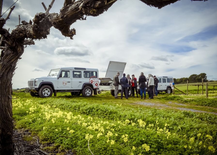Barossa Valley: Two Hands Flagship Vineyard Experience - Practical Details and Tips