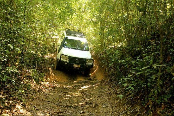 Barron Gorge and Kuranda National Park Half Day Rainforest and Waterfall 4WD Tour from Cairns - FAQs