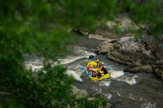 Barron River Half-Day White Water Rafting Cairns or Port Douglas - The Itinerary in Detail