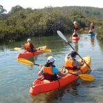 Batemans Bay Glass-Bottom Kayak Tour Over 2 Relaxing Hours - The Itinerary: What to Expect