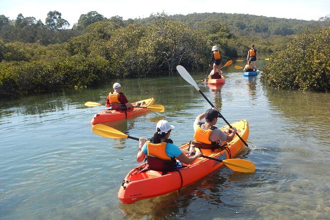 Batemans Bay Glass-Bottom Kayak Tour Over 2 Relaxing Hours - The Itinerary: What to Expect