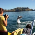 Bay of Islands: Discover the Bay Cruise with Island Lunch - Who Should Consider This Tour?