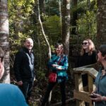 Bay of Islands Glow Worm Caves & Scenic Shore Excursion - Who Is This Tour Best For?