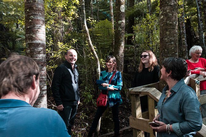 Bay of Islands Glow Worm Caves & Scenic Shore Excursion - Who Is This Tour Best For?