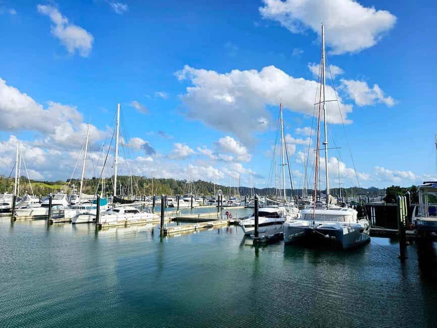 Bay of Islands - Mini Tour (75-90 mins) - How to Maximize Your Experience